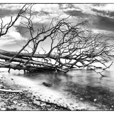 After The Storm