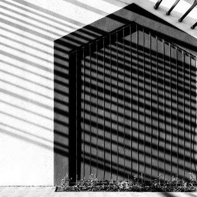 Lines